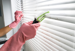 Vertical Blind Cleaning Service